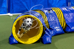 12-8-9-10-Jen-Pinder-1490