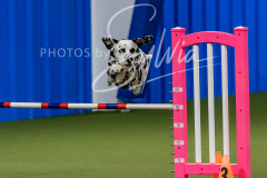 12-8-9-10-Jen-Pinder-1495