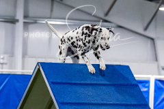 12-8-9-10-Jen-Pinder-1497