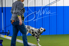 12-8-9-10-Jen-Pinder-1503