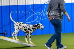 12-8-9-10-Jen-Pinder-1505