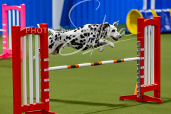 12-8-9-10-Jen-Pinder-1511