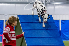 12-8-9-10-Jen-Pinder-1512