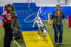 12-8-9-10-Jen-Pinder-1513