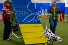 12-8-9-10-Jen-Pinder-1514