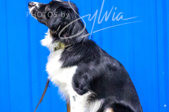 12-8-9-10-Jen-Pinder-152