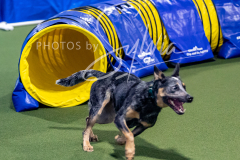 12-8-9-10-Jen-Pinder-1522