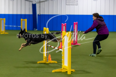 12-8-9-10-Jen-Pinder-1523