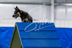 12-8-9-10-Jen-Pinder-1527