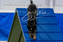 12-8-9-10-Jen-Pinder-1529