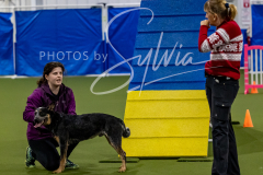 12-8-9-10-Jen-Pinder-1540