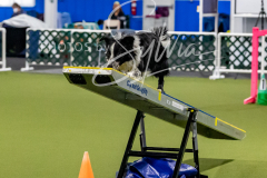 12-8-9-10-Jen-Pinder-1545