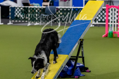 12-8-9-10-Jen-Pinder-1550