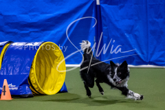 12-8-9-10-Jen-Pinder-1559