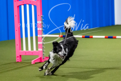 12-8-9-10-Jen-Pinder-1560