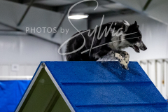 12-8-9-10-Jen-Pinder-1561