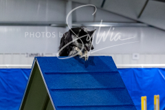 12-8-9-10-Jen-Pinder-1563