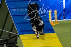 12-8-9-10-Jen-Pinder-1564