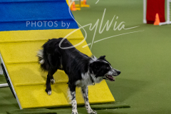 12-8-9-10-Jen-Pinder-1565