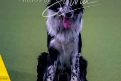 12-8-9-10-Jen-Pinder-1571