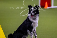 12-8-9-10-Jen-Pinder-1573