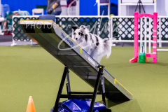 12-8-9-10-Jen-Pinder-1577