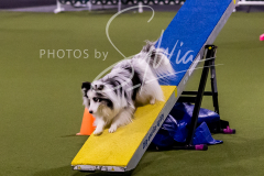 12-8-9-10-Jen-Pinder-1579