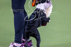 12-8-9-10-Jen-Pinder-158