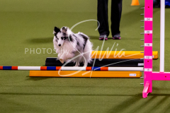 12-8-9-10-Jen-Pinder-1584