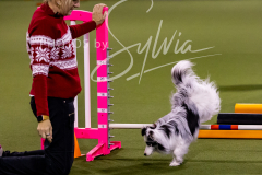 12-8-9-10-Jen-Pinder-1585