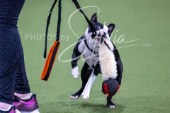 12-8-9-10-Jen-Pinder-159