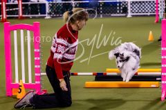 12-8-9-10-Jen-Pinder-1590