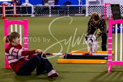 12-8-9-10-Jen-Pinder-1591