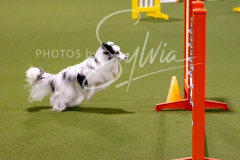 12-8-9-10-Jen-Pinder-1606