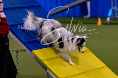 12-8-9-10-Jen-Pinder-1609