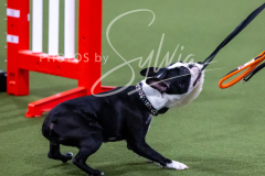 12-8-9-10-Jen-Pinder-161