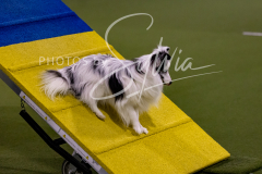 12-8-9-10-Jen-Pinder-1610