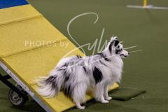 12-8-9-10-Jen-Pinder-1611