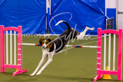 12-8-9-10-Jen-Pinder-1624