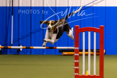 12-8-9-10-Jen-Pinder-1627