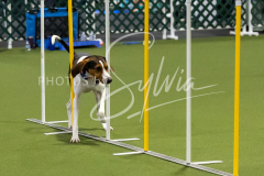 12-8-9-10-Jen-Pinder-1634