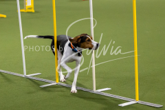 12-8-9-10-Jen-Pinder-1640