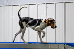 12-8-9-10-Jen-Pinder-1643