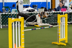 12-8-9-10-Jen-Pinder-1644