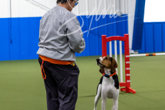 12-8-9-10-Jen-Pinder-1645