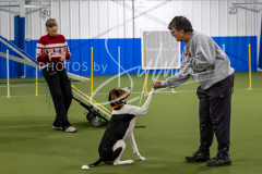 12-8-9-10-Jen-Pinder-1648