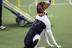 12-8-9-10-Jen-Pinder-1650