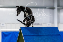 12-8-9-10-Jen-Pinder-1653