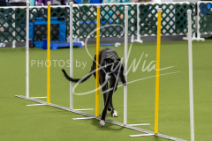 12-8-9-10-Jen-Pinder-1659