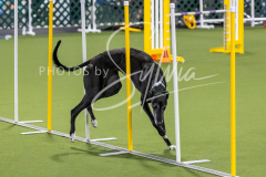 12-8-9-10-Jen-Pinder-1662